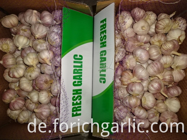 Size 5 0cm Fresh Garlic 2019